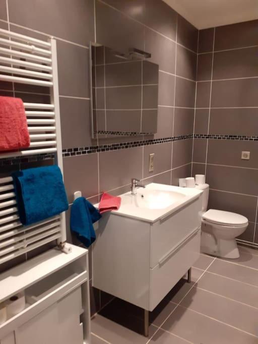 Appartement Hyper-Centre Issoire Exterior foto